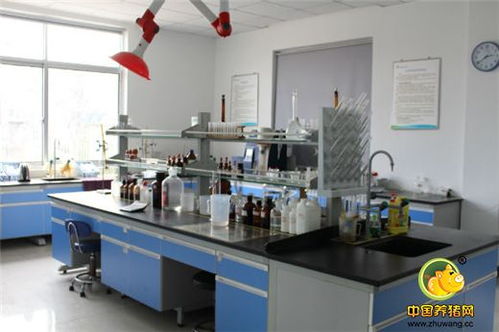 標(biāo)桿工廠再創(chuàng)輝煌——浙江播恩預(yù)混料教槽料產(chǎn)銷量破10000噸慶典隆重舉行